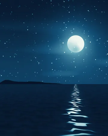 Nocturne, edition 0xa1ea09